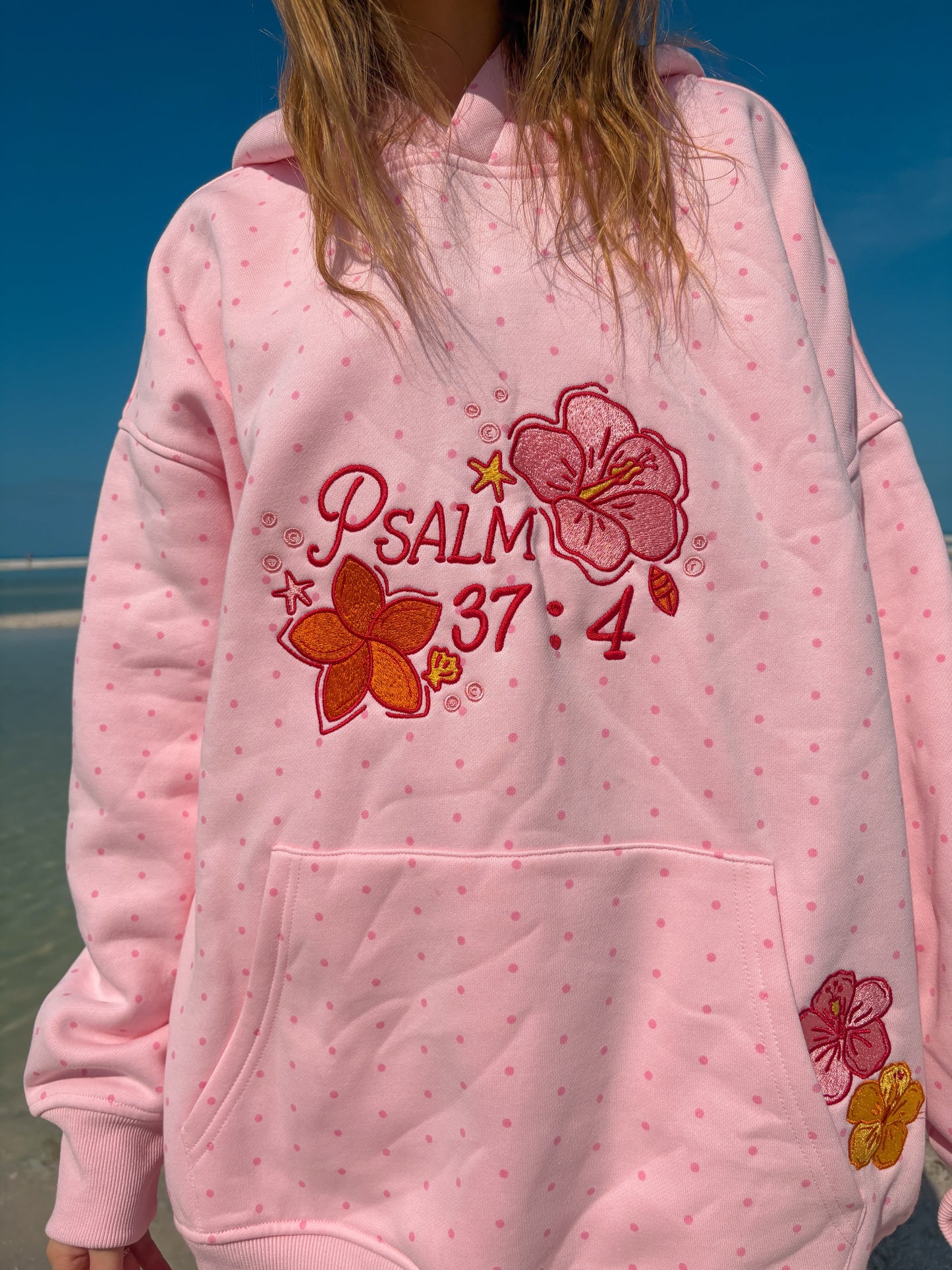 "I Take Delight in the Lord" Hoodie
