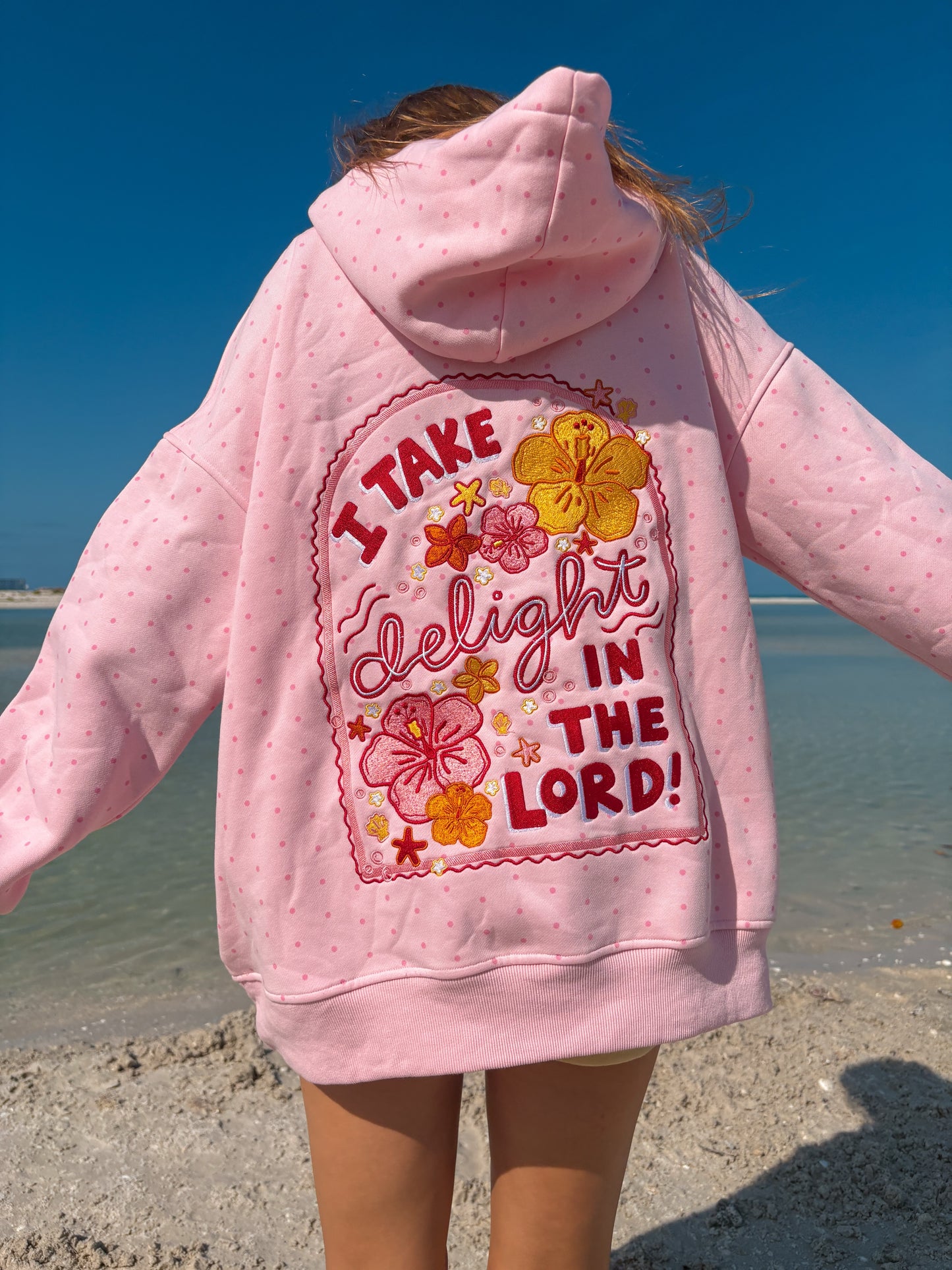 "I Take Delight in the Lord" Hoodie